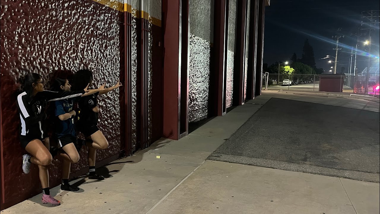 VLOG 2