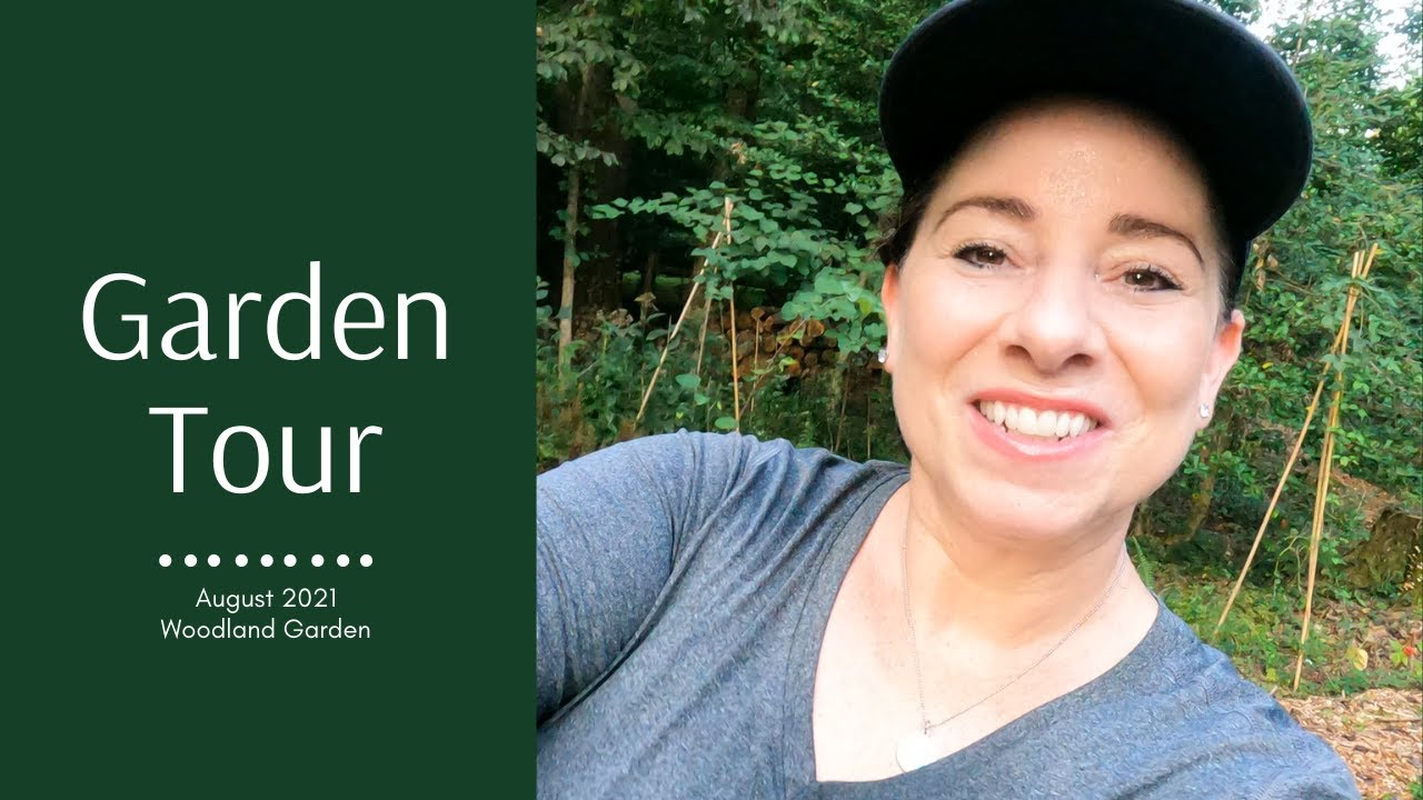Woodland garden tour - August 2021 - Native plants and the wildlife that require them