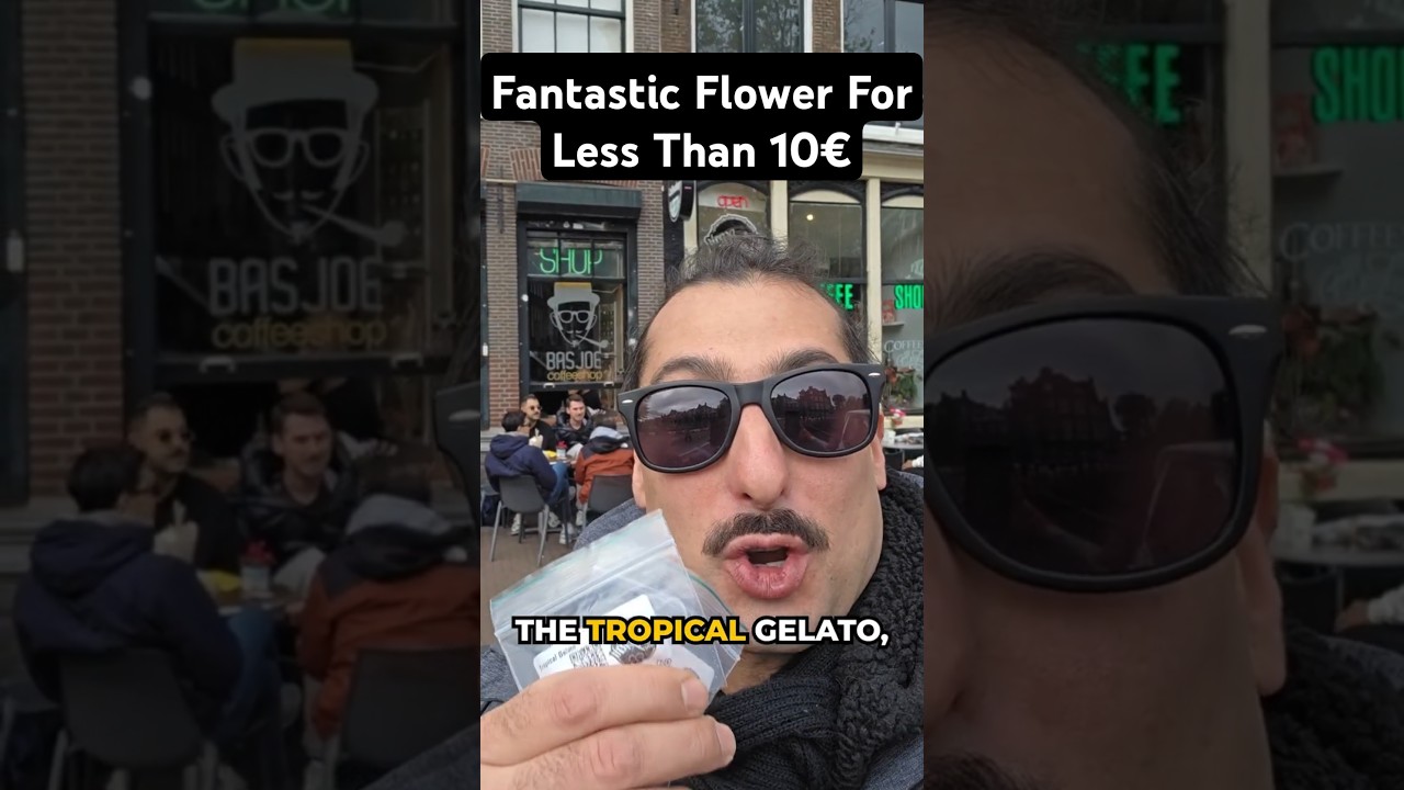 Three Amazing Strains In One Flower