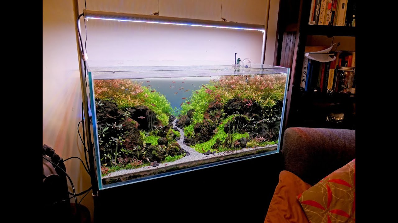 Advanced guide to lighting a planted tank - Choosing light fixtures