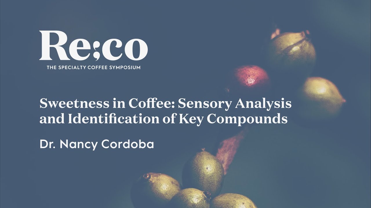 Sweetness in Coffee: Sensory Analysis and Identification of Key Compounds | Dr. Nancy Cordoba