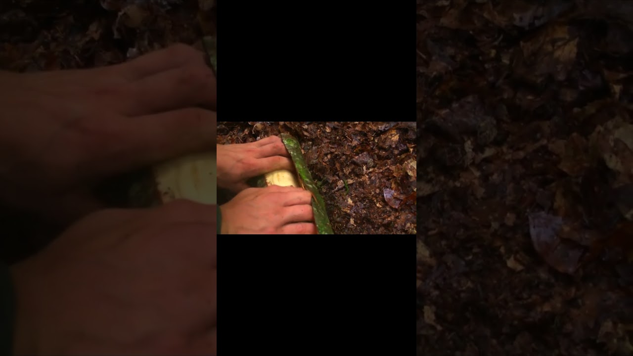 HOW TO MAKE A WATER PIPE ? (EASY !)#asmr#bushcraft#satisfying#nature#woodcraft#axe#wildlife#outdoors