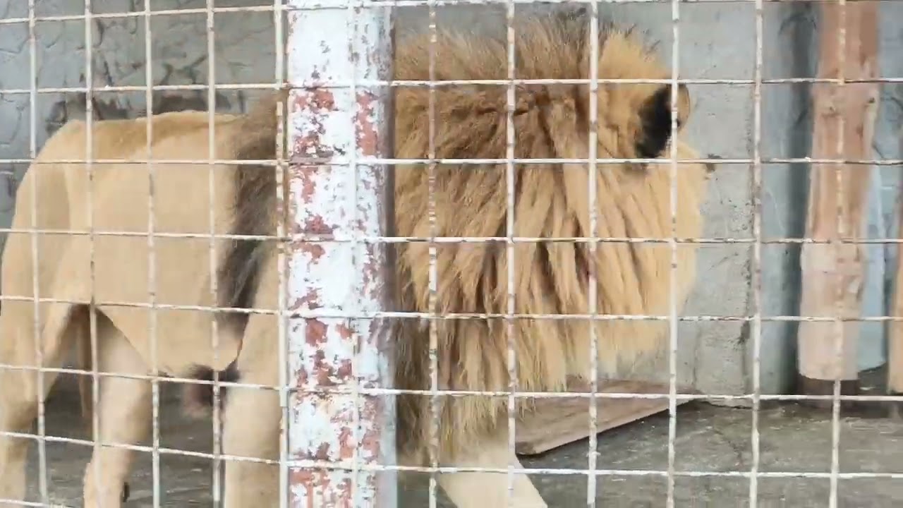 НОЯБРЬ. Встречи с любимыми зайцами❤️