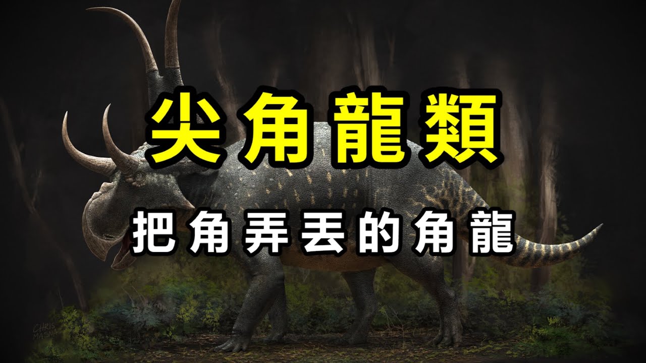 角龍科①：把角弄丟的尖角龍亞科