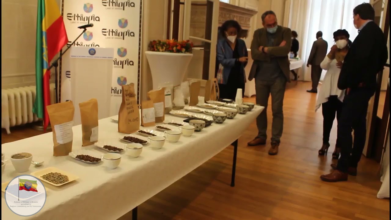 Ethiopian Coffee Cupping Event in the Presence of Professional Coffee Connoisseurs in Brussels