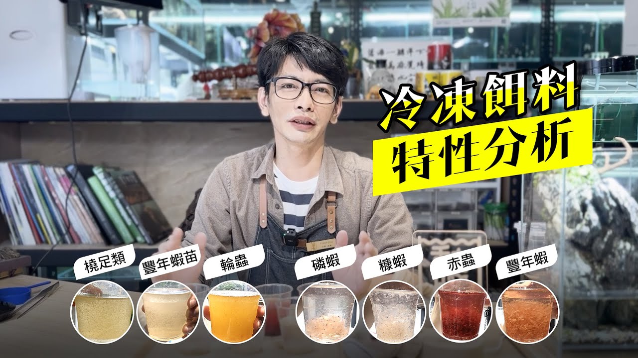 【養魚新手】餵魚吃什麼? 乾燥飼料以外的新選擇! 【冷凍餌料Part II】
