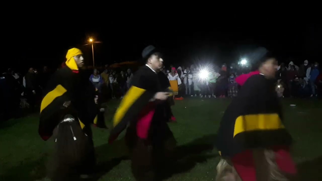 pasa lirio 2022 comparzas