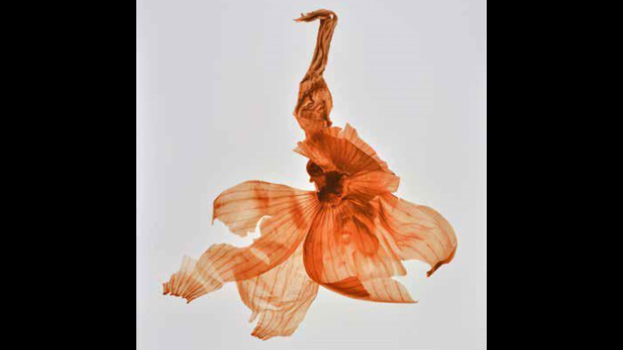 De la nature des choses avec Denis Brihat