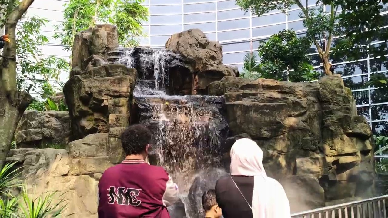 Malaysian Airport Waterfalls