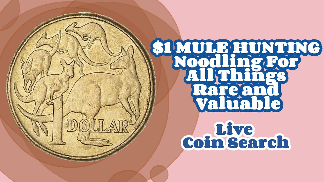 $1 MULE HUNTING: Noodling For All Things Rare and Valuable (Live Coin Search)