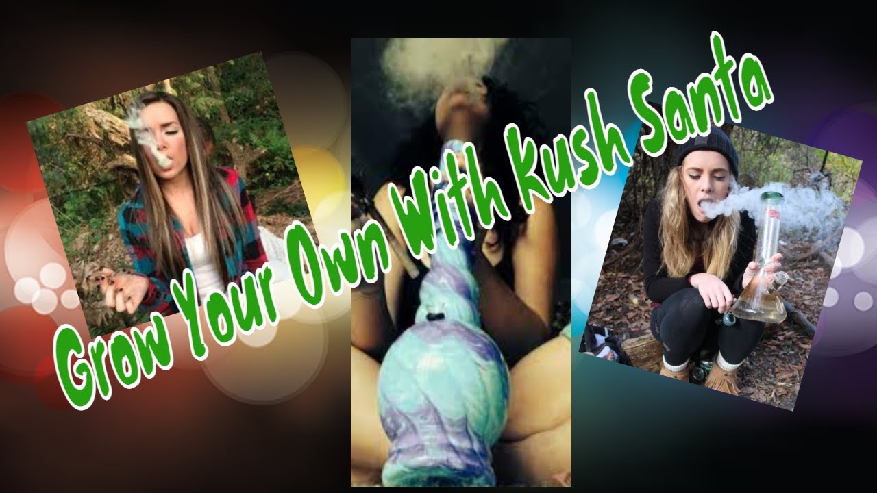 Grow Your Own  Medicine Medical Marijuana with Kush Santa