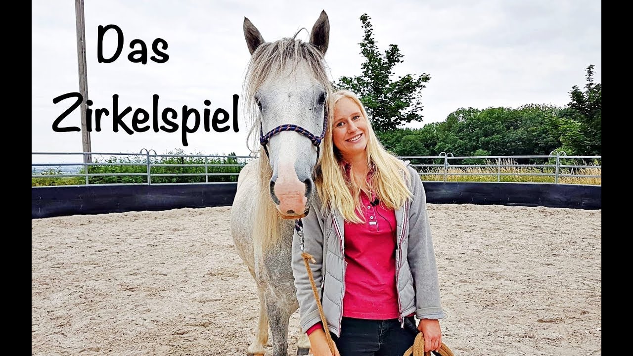 Bodenarbeit für Anfänger: Das Zirkelspiel
