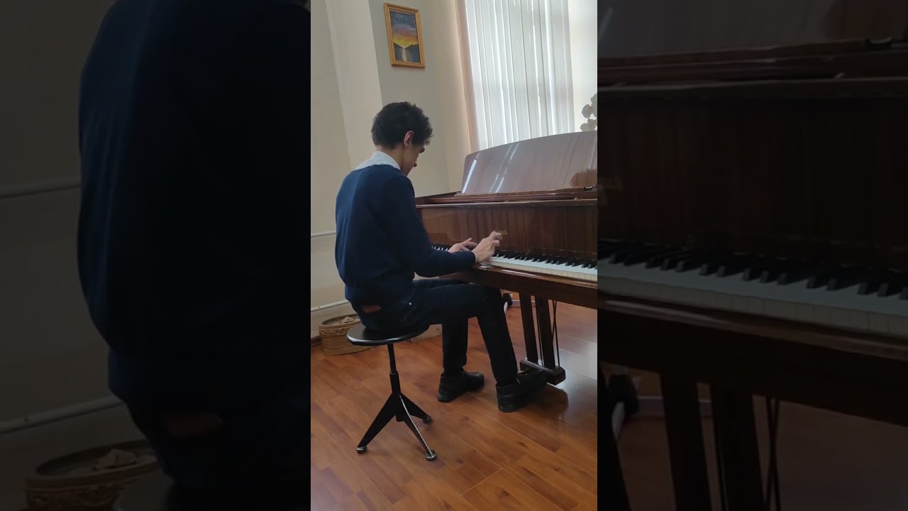 Вечерняя серенада Ф.Шуберт