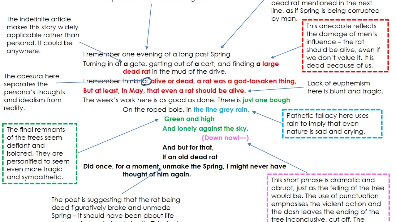 The Trees Are Down by Charlotte Mew - IGCSE English Literature
