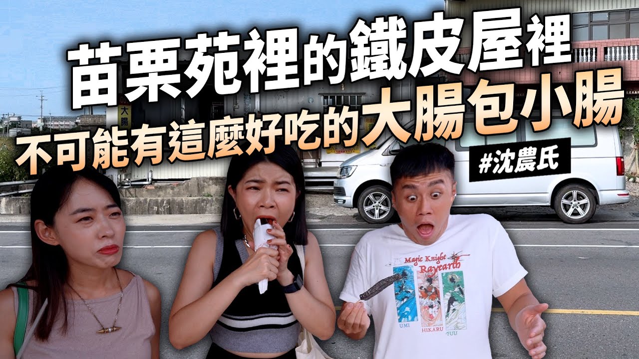 ✿沈✿苗栗不是美食沙漠 近期最好吃大腸包香腸 可以每天吃的麵店 這顆紅豆餅要吃 居民推薦的臭豆腐