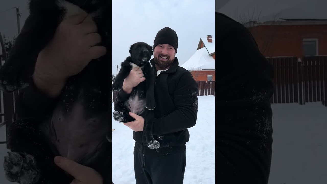 Встречают всех 🥰🤪😆