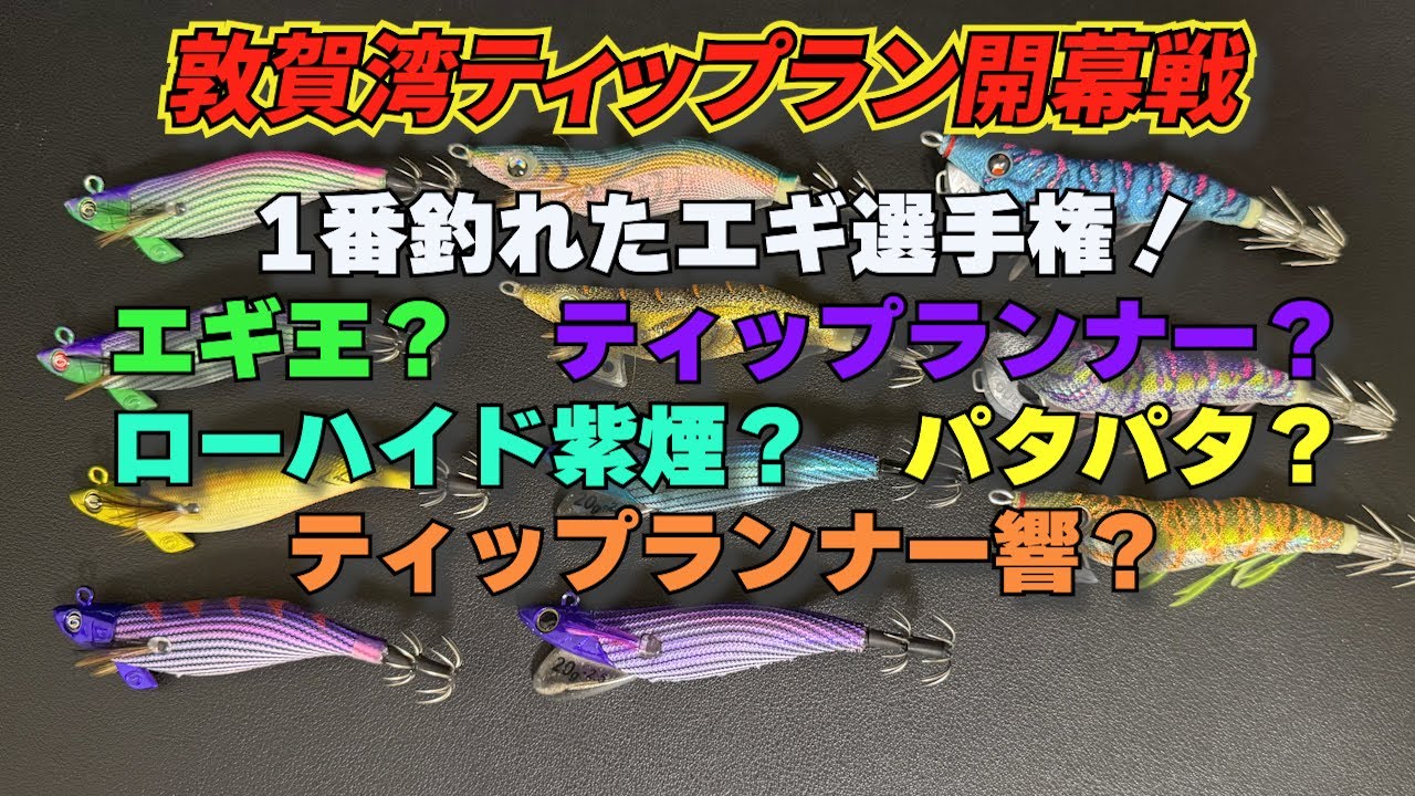 Vol.148【ティップランエギング】敦賀湾ティップラン開幕！！　1番よく釣れたエギは？カラーは？
