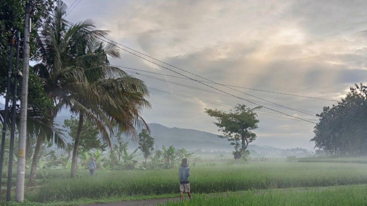 Suasana pagi di desa selalu bikin rindu | Rural Indonesia 