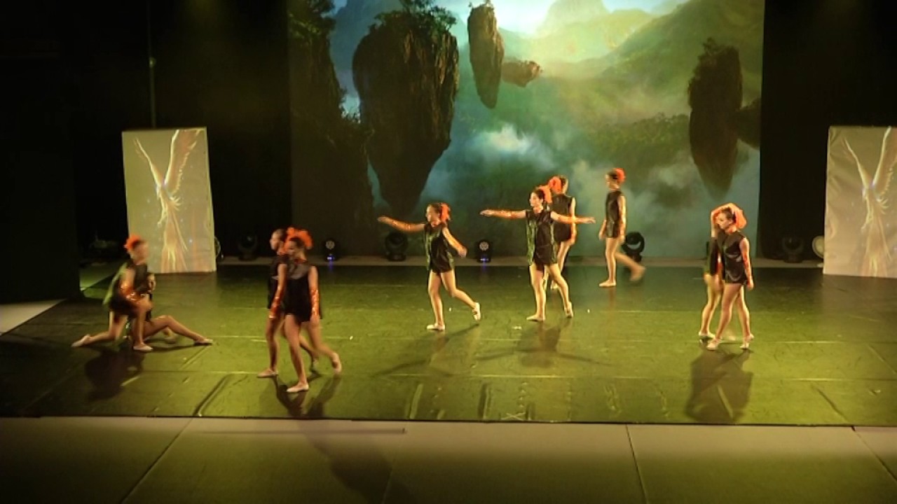 Fenici   asd arte e danza Coccaglio   danza classica   saggio 2017