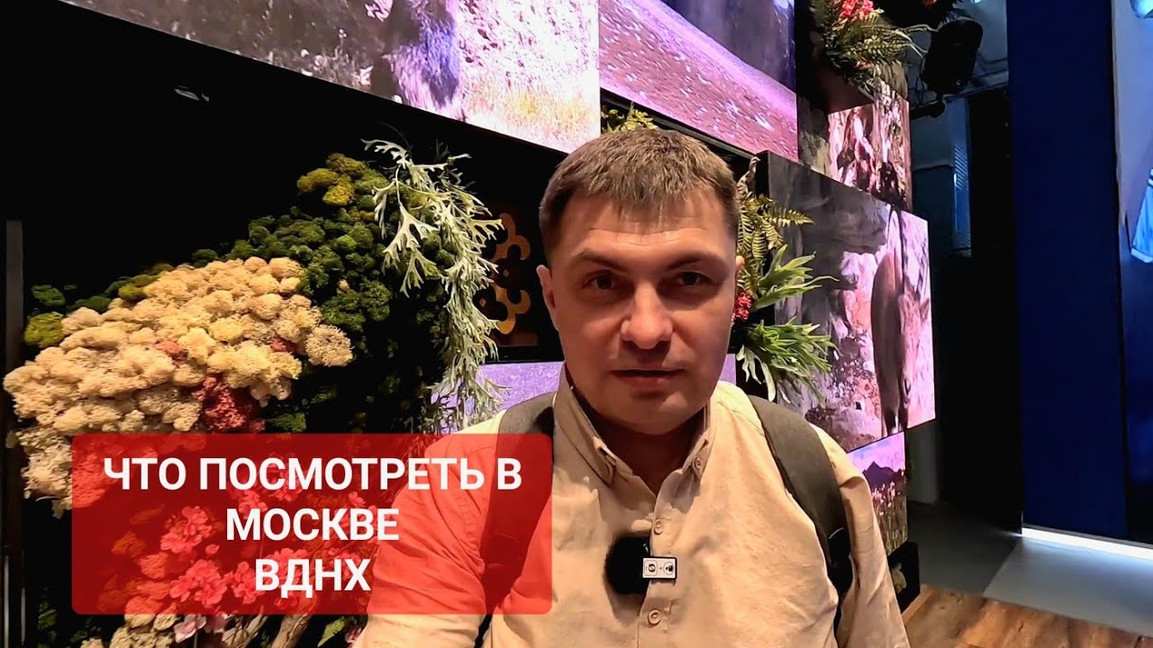 Москва ВДНХ 2024