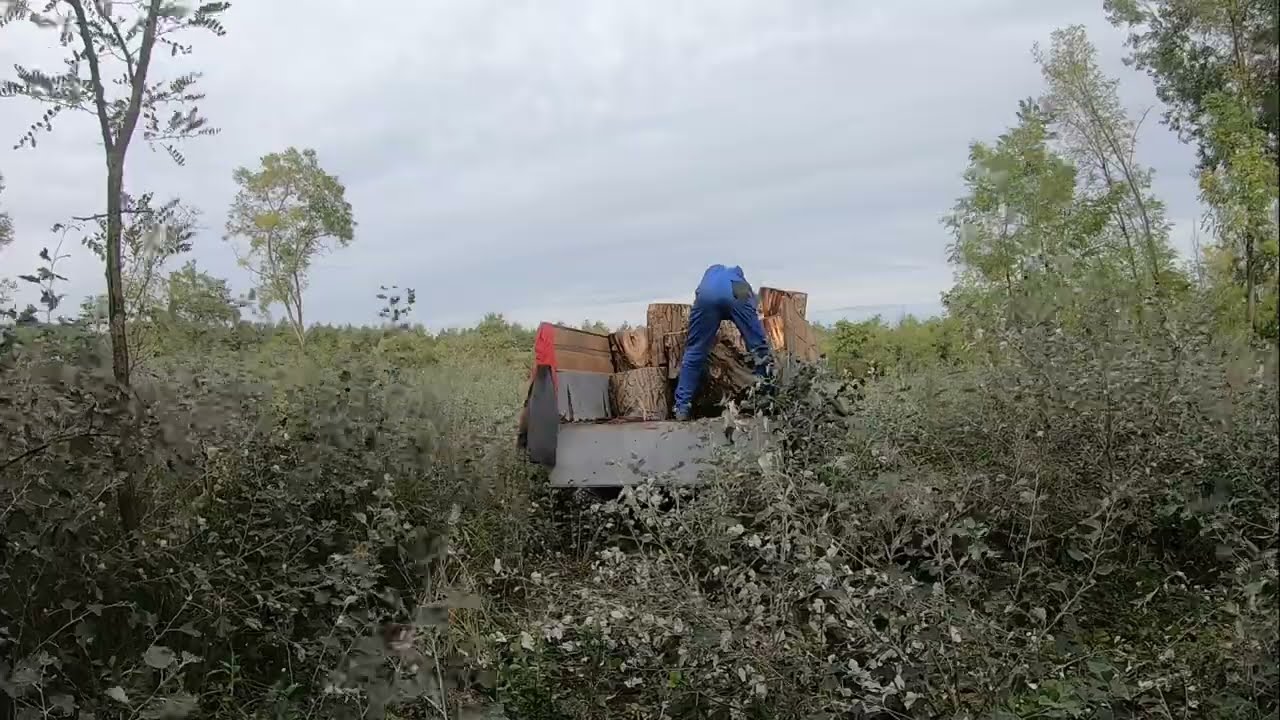 De mi az a csettegő?