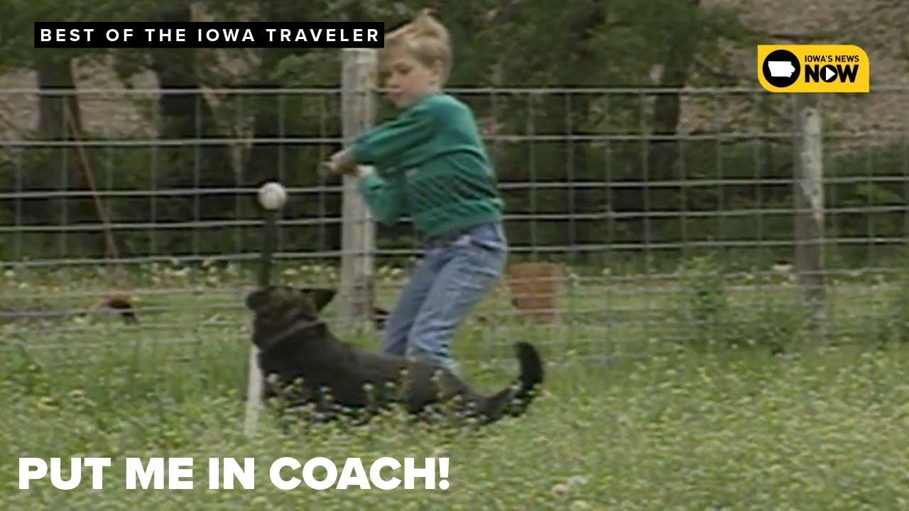 Четвероногий аутфилдер | Лучшее от Iowa Traveler