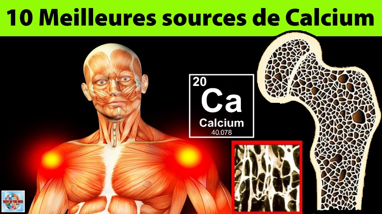 Renforcez vos os avec ces aliments riches en calcium à inclure dans votre alimentation
