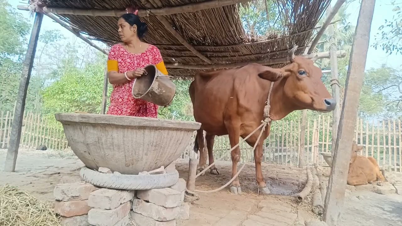 আজকেও তোমাদেরকে প্রতিদিনের কাজ শেয়ার করলাম কেমন লাগে আমার ভিডিও?