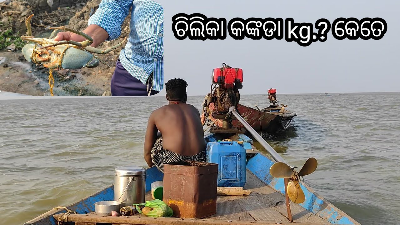 Chilika Lake Odisha India's Largest Lake Fishing in Chilika Vlogs #mrchilikavlogs