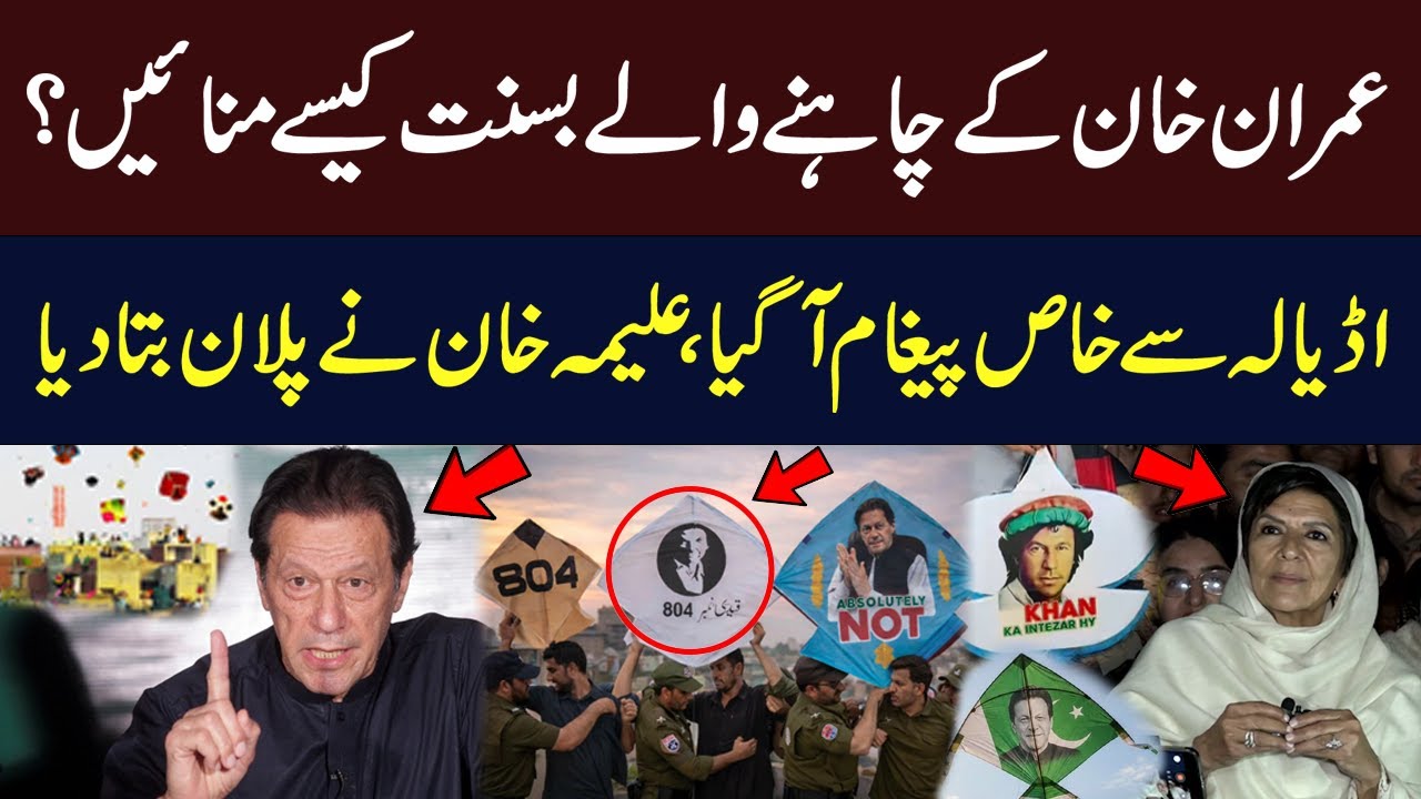How Should Imran Khan’s Supporters Celebrate Basant? | Aleema Khan's Statement | Hum News | Pakistan