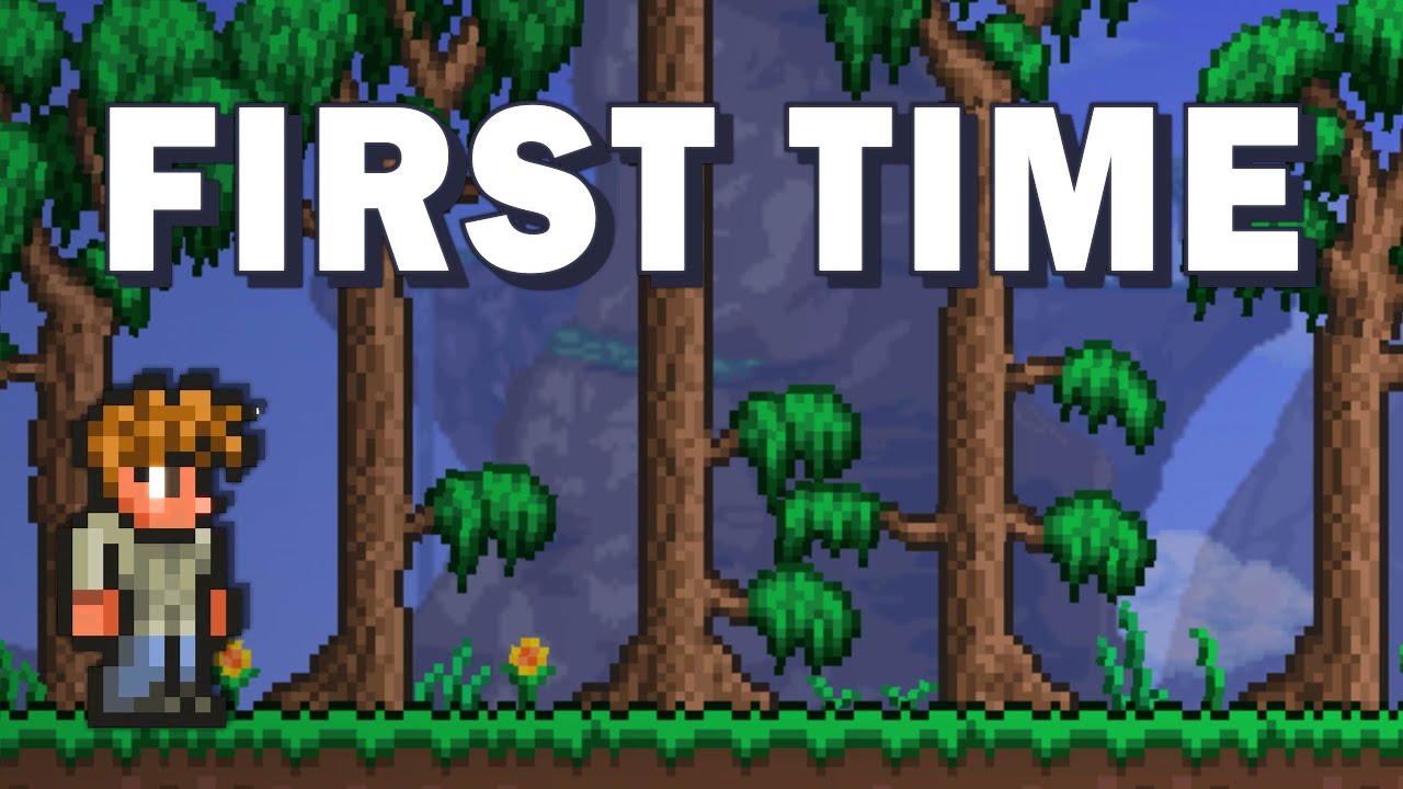 I finally tried Terraria