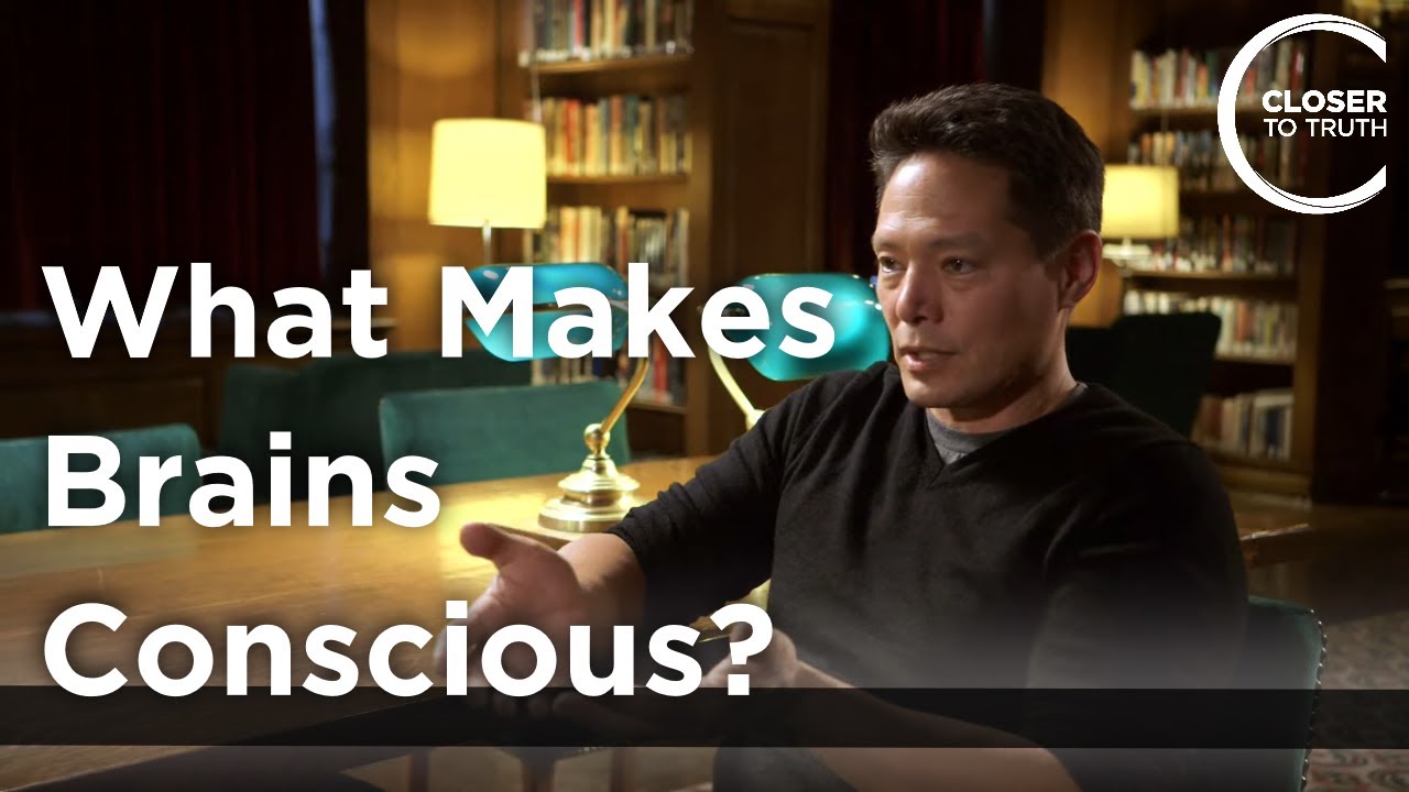 Peter Tse - What Makes Brains Conscious?