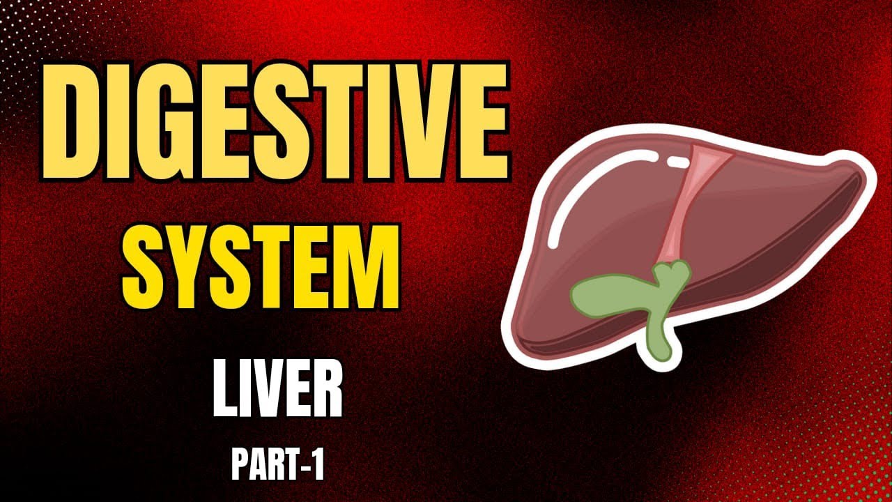 Digestive System Part 5 | Liver | BAMS | 