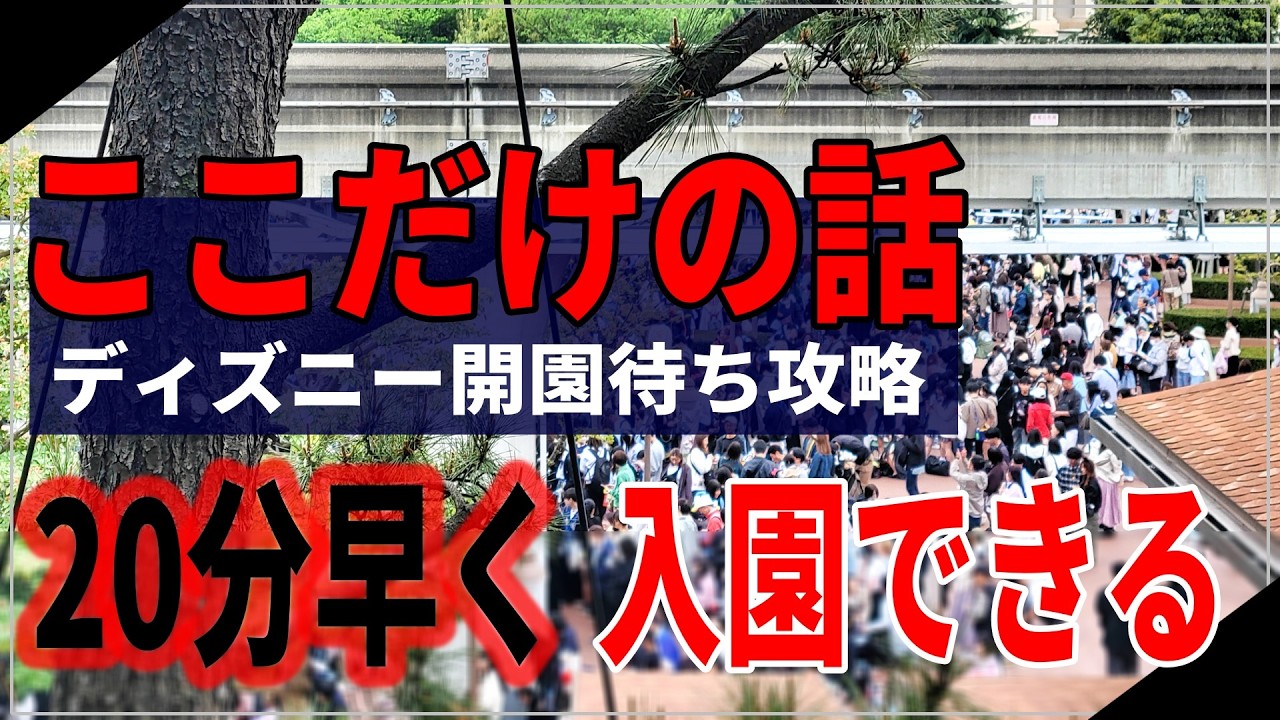 【これ一本で全てわかる】大混雑日のディズニー開園待ちで誰よりも早く入園する方法10選！