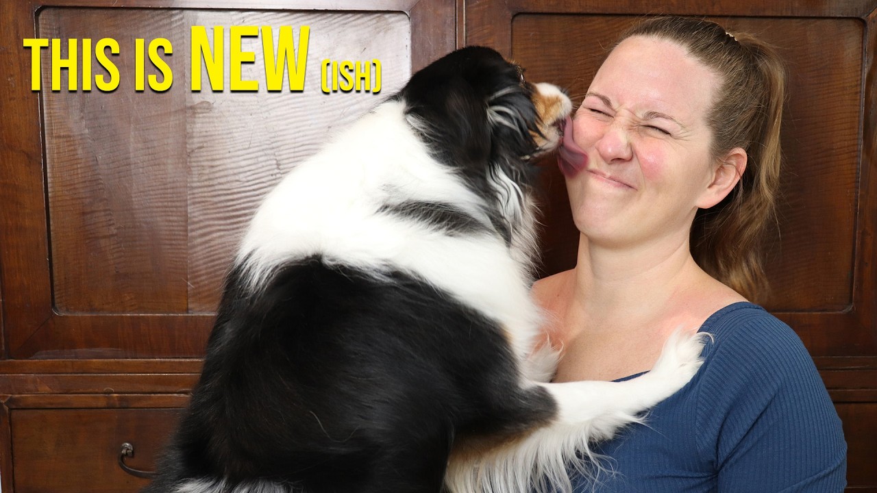 I Wasn't Always A Dog Person