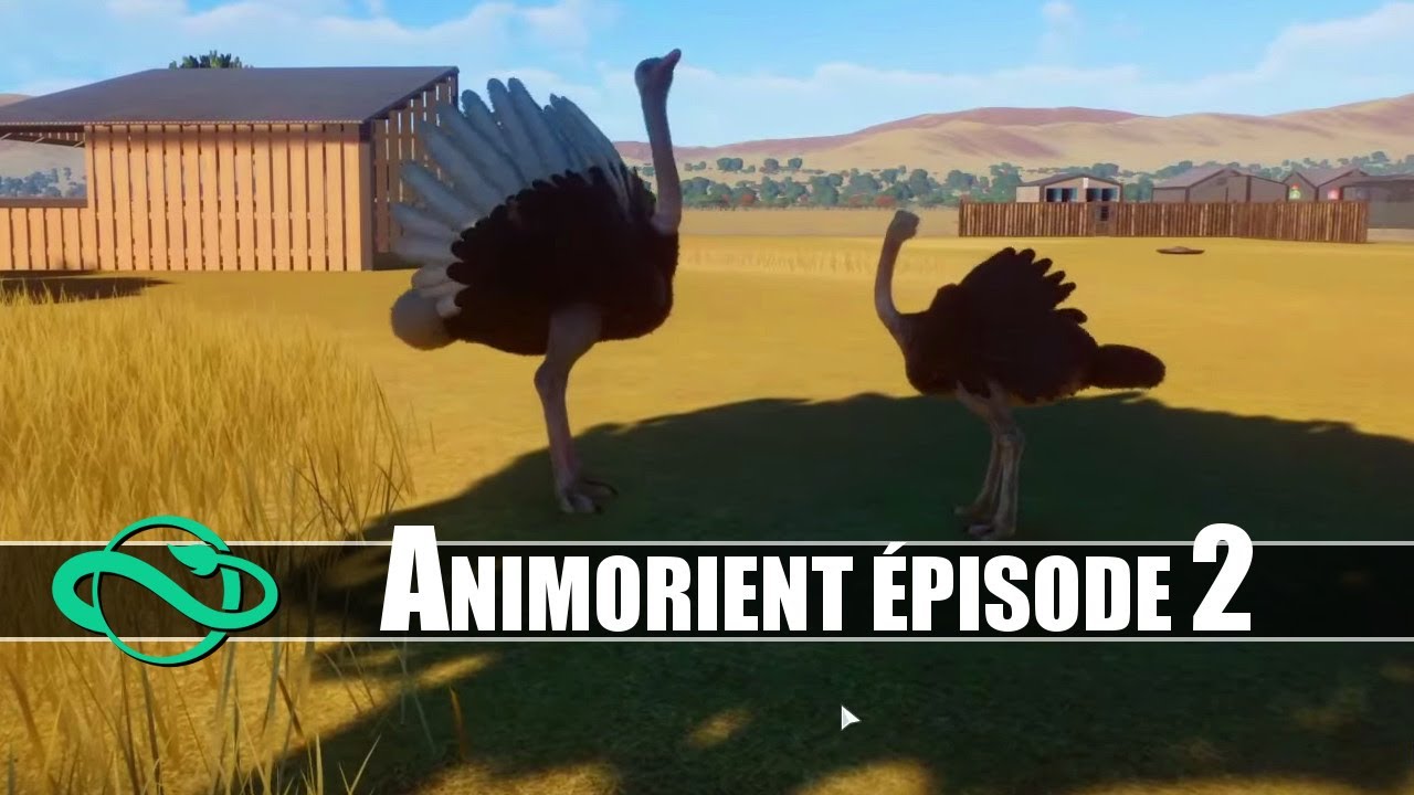 Ivre et en Banqueroute, il Admire une Parade Nuptiale | PLANET ZOO ANIMORIENT épisode 2 gameplay