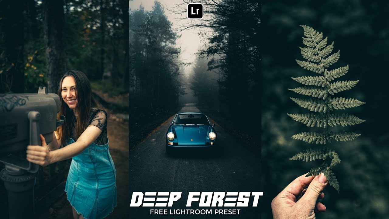 Deep Forest Preset | Lightroom Mobile Preset Free DNG | forest preset | lightroom preset