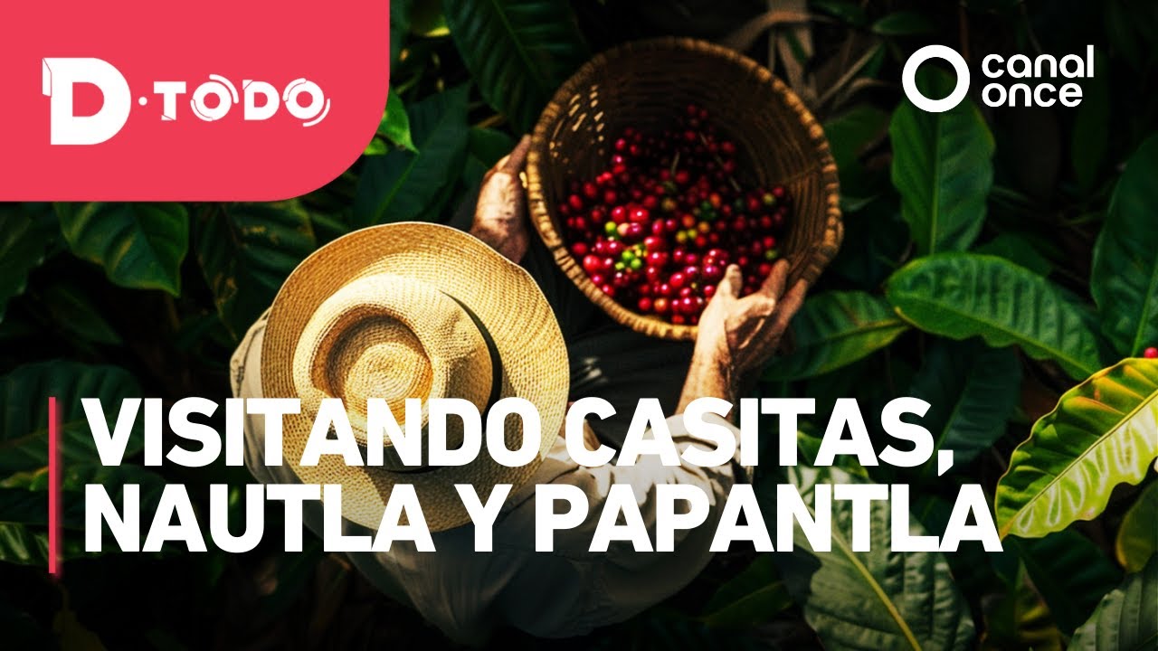D Todo - Visitando Casitas, Nautla y Papantla (30/04/2025)