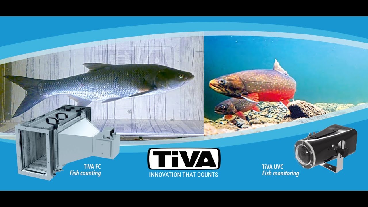 Advanced Fish Monitoring