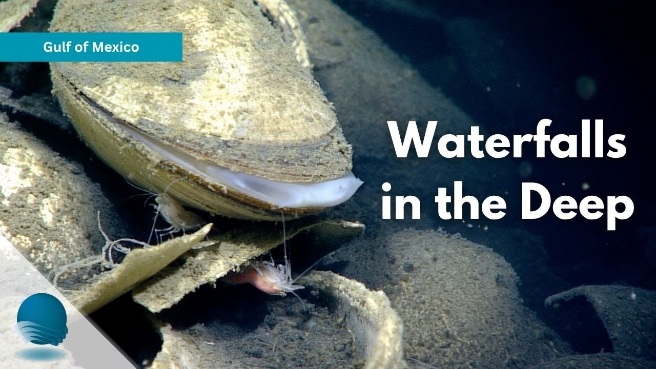 Gulf of Mexico: Waterfalls in the Deep