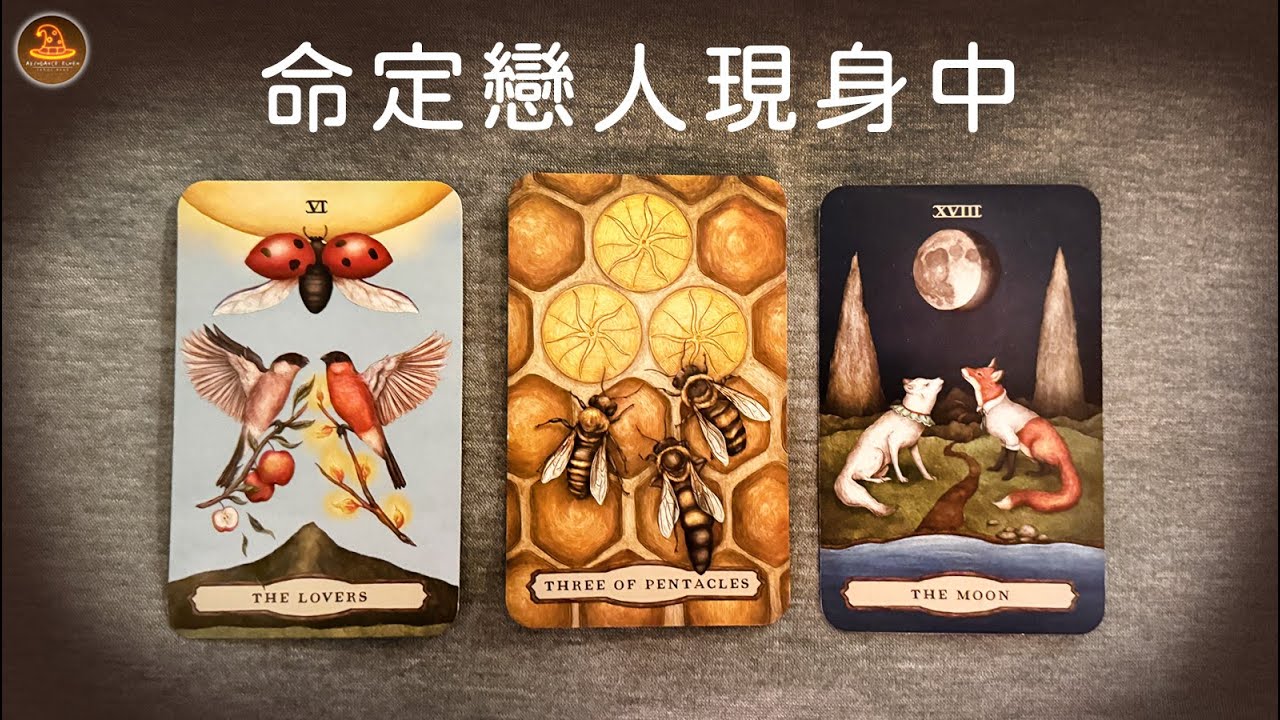 《命定戀人現身中》❤️任何日期可抽牌❤️適用任何時間季節🔮塔羅占卜❤️愛情占卜🔮愛情解析🔮戀愛心事🔮塔羅學習