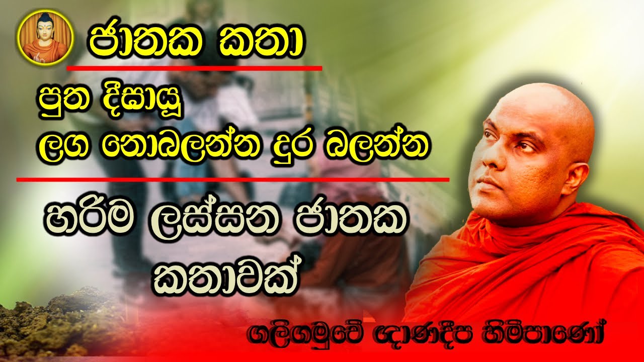 හරිම ලස්සන ජාතක කතාවක් | ගලිගමුවේ ඥාණදීප හිමිපාණෝ | ජාතක කතා | jathaka katha | jathaka katha sinhala