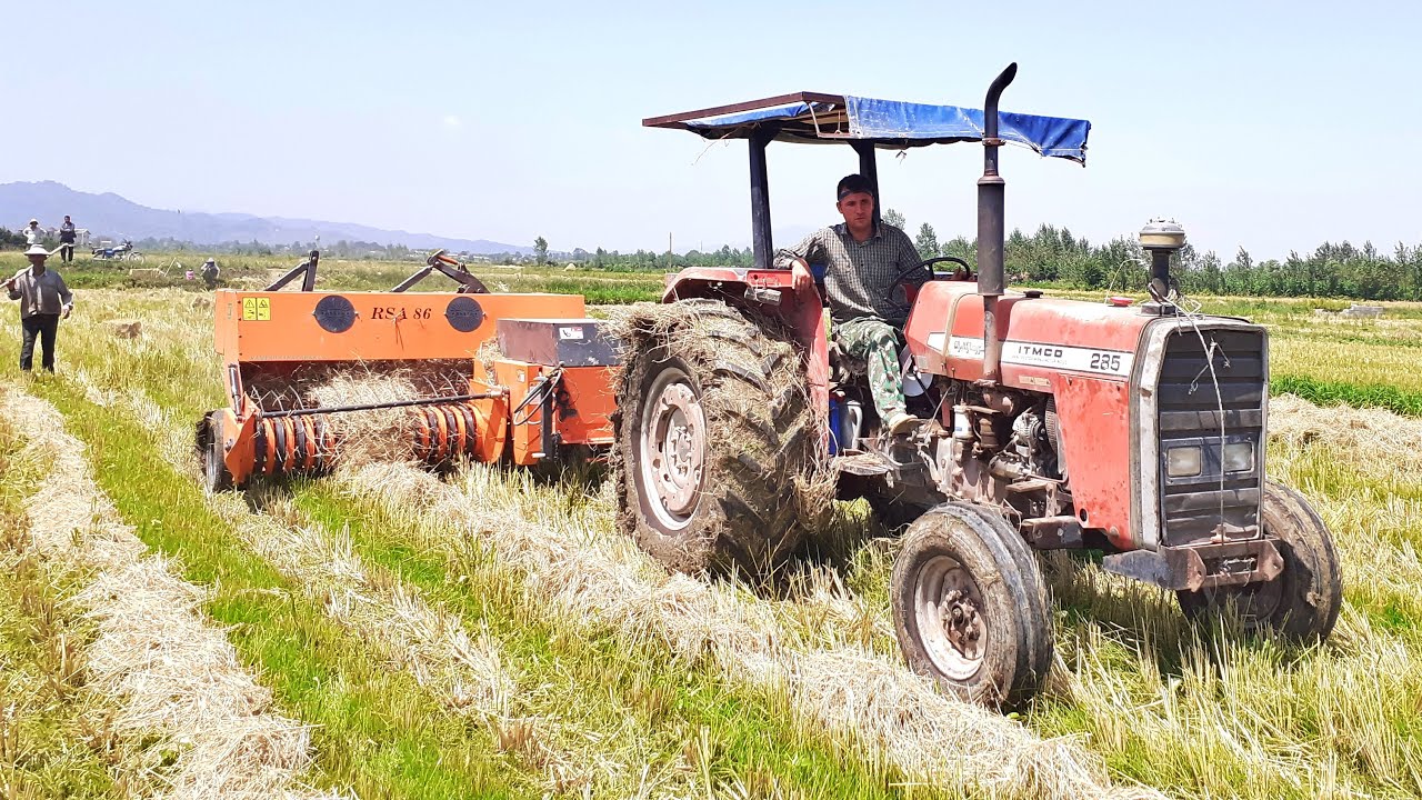Baling Rice Straw In Unique Rice Fields Iran