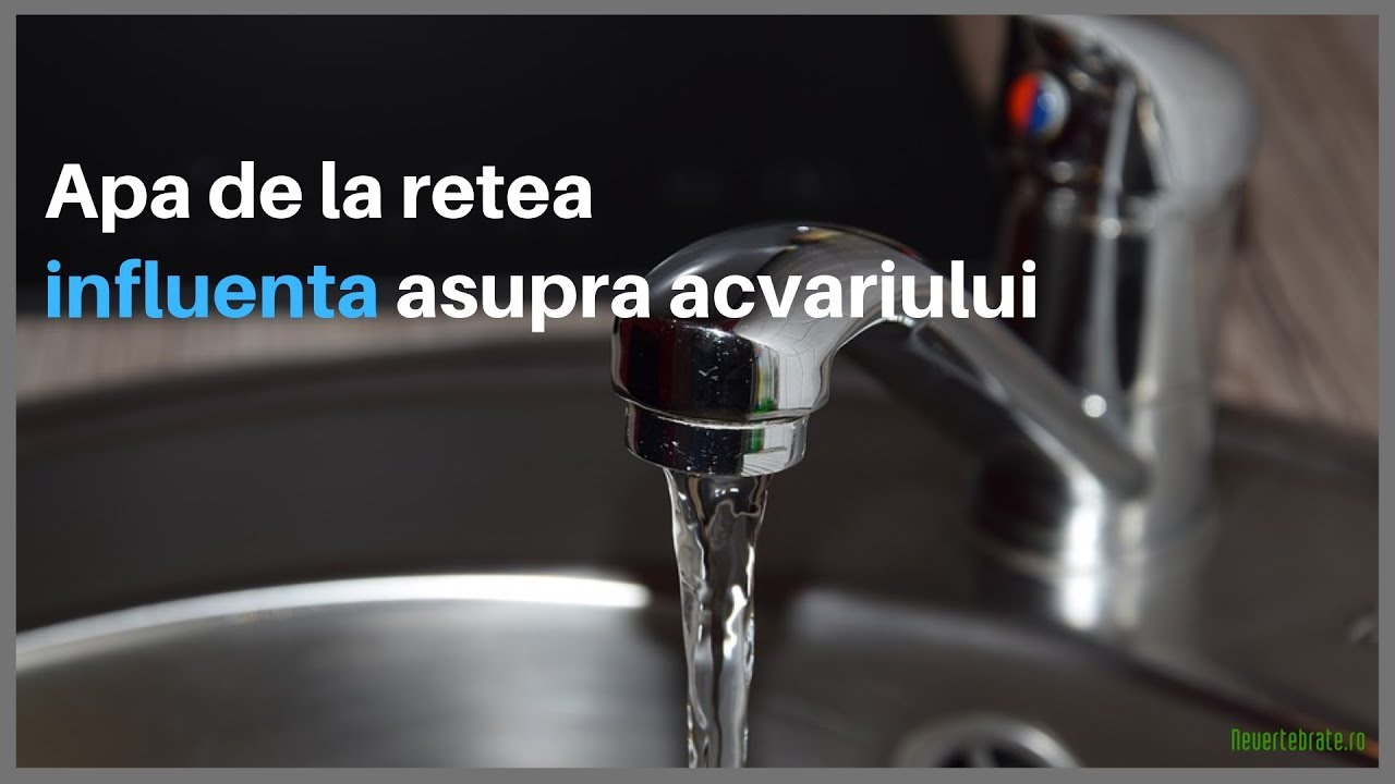Apa de la retea si influenta ei asupra acvariului
