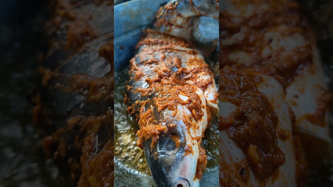 basa fish masala spicy fry #shorts#fish fry#basafish