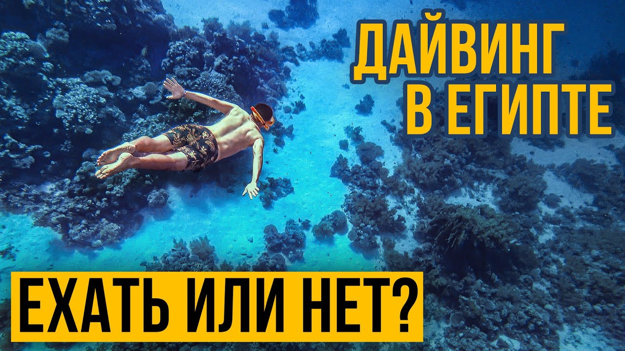 Египет - Реальный Отзыв. Дайвинг и Снорклинг с Яхты. Обзор Экскурсии. Остров Тиран Шарм Ель Шейх.