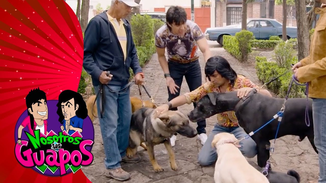 Cap&iacute;tulo 2: Albertano &iquest;el nuevo Encantador de Perros? | Nosotros los guapos T3