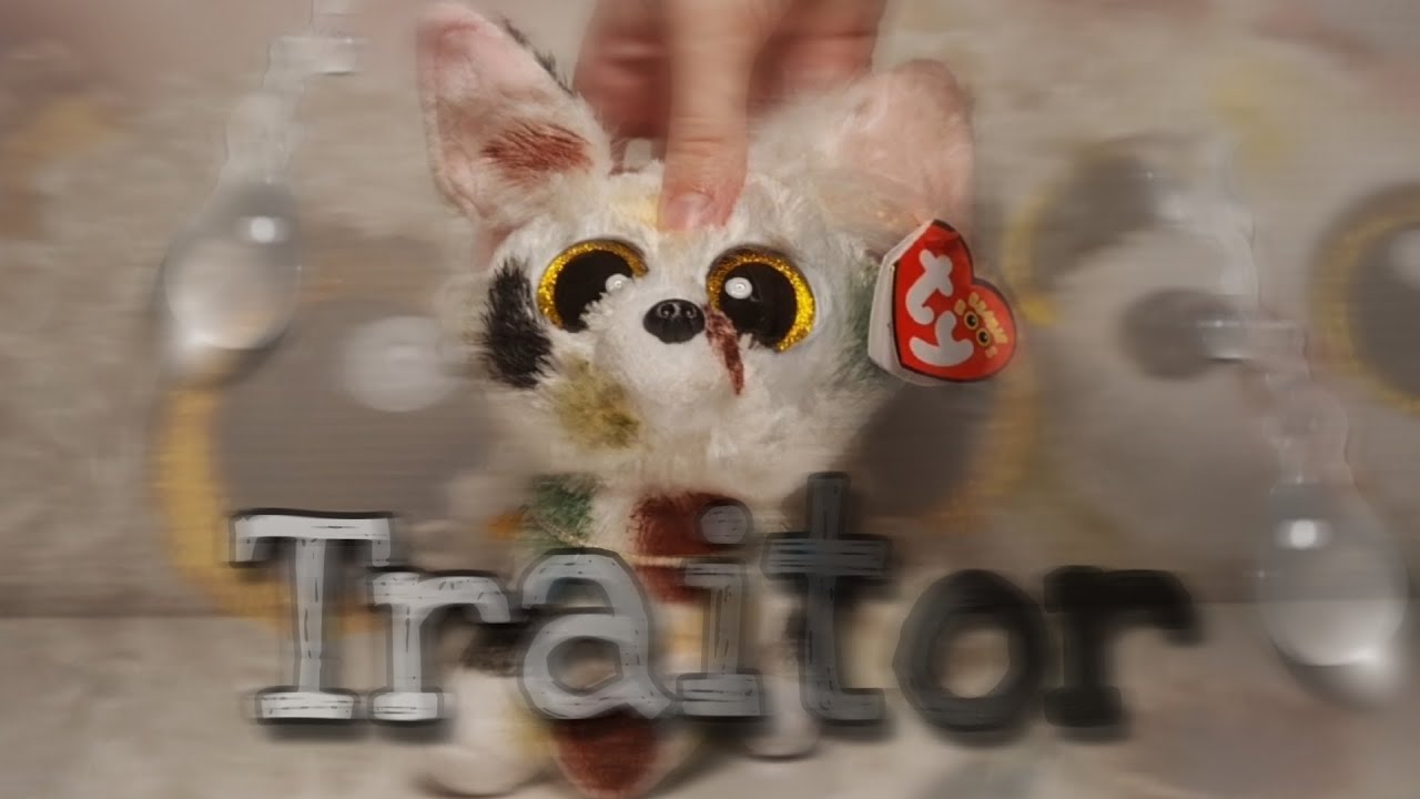 Traitor - Olivia Rodrigo - Beanie Boo Music Video