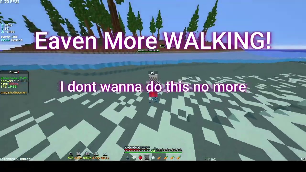 The MineZ Experience of 2025