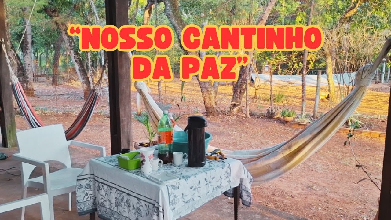 ATUALIZAÇÕES DA CHÁCARA - VLOG COM AS MENINAS • Camila Capelin
